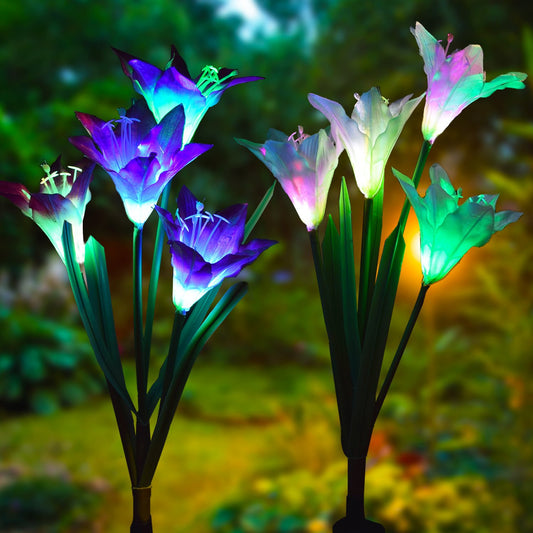 Solar Powered Fairy Lights